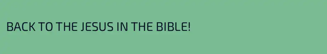 BACK TO THE JESUS IN THE BIBLE!
